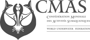 CMAS_logo_grau