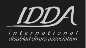 IDDA Logo_grau